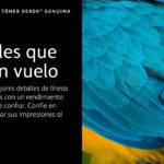 Toner Xerox 006R04679 Color Magenta/2,000 Paginas