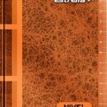 Libreta de Nivel