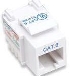 Jack RJ45 Cat6 Utp Keystone De Impacto Blanco