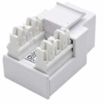 Conector Jack Intellinet RJ11/12 Blanco P/Telefono 210843