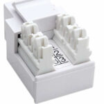 Conector Jack Intellinet RJ11/12 Blanco P/Telefono 210843