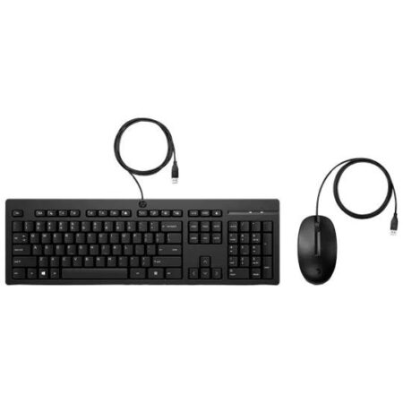 Kit Teclado Y Mouse HP USB Us, 631341-B21