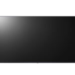 Monitor Profesional