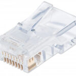 Plug Modular RJ45 Utp Cat5E Solido 100Pzs Contacto Chapa Oro