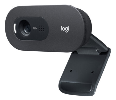 Logitech C505 HD cámara web 1280 x 720 Pixeles USB Negro