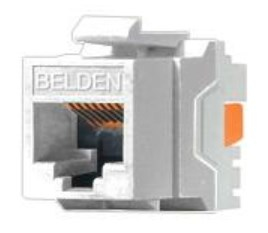 Conector Jack RJ45 Cat6 Belden Ax101320 – Rj-45, Blanco, Cat 6