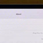 IPAD PRO M4 RETINA 11″ APPLE MVV93CL/A 256GB/WIFI/PLATA