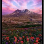 Apple iPad Pro 5G TD-LTE & FDD-LTE 256 GB 32.8 cm (12.9″) Apple M 8 GB Wi-Fi 6 (802.11ax) iPadOS 14 Plata