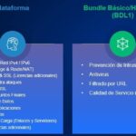 Bundle De Suscripciones Hillstone Bdl1-A200-In12 Basico Ngfw Para A200 (12 Meses) -