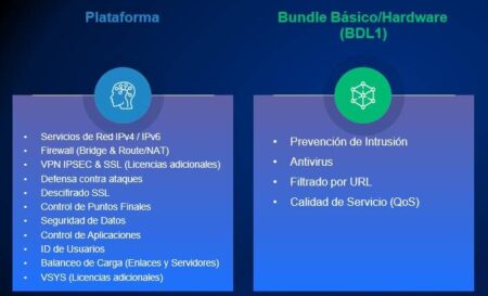 Bundle De Suscripciones Hillstone Bdl1-A200-In12 Basico Ngfw Para A200 (12 Meses) –