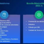 Bundle De Suscripciones Hillstone Bdl1-A200-In24 Basico Ngfw Para A200 (24 Meses) -