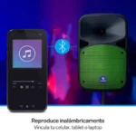 Bocina 8" Inalambrica Steren Baf-2008Rgb Bluetooth, 600W Pmpo, Rbg, Color Negro