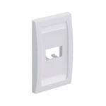 Placa Frontal Vertical De Dos Salidas Panduit, Cfpe2Why