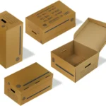 Caja Geo 004 Caja Geo Archivo Carton Carta 50X31X25Cm C/20