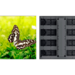 Pantalla Para Video Dahua Pixel Pitch 3.91Mm/Con Controlador LED/Resolucion 256X256/Tamaño De Gabinete 1X1M/Brillo 5500Nits/Exterior IP65/100,000 Horas/Dhi-Phgoa3.91-Fc