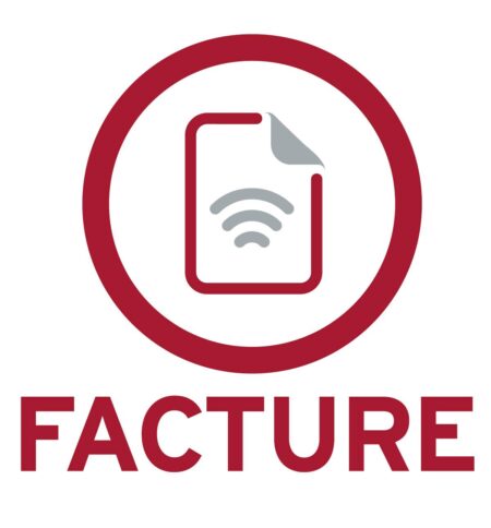 Software Sistema Base Facture 6.0 1 Usr. 1 Rfc. Anual Fact12 V (Electrónico) –