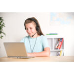 USB Hifi Headphones