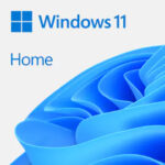 Microsoft Windows 11 Home 64-Bi Todos Los Idiomas - Descargable