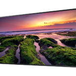 Monitor Profesional