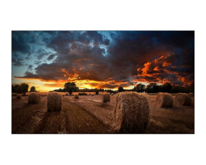 MONITOR PARA SEÑALIZACION DIGITAL 46" VM46B-U, SAMSUNG LH46VMBUBGBXGO, FULLHD, VIDEOWALL , HDMI, RS232C, RJ45, D.PORT, 500 NITS, 3.5MM, 24/7