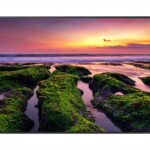 Monitor Profesional Samsung Lh50Qbbebgcxgo - 50 Pulgadas, 350 Cd / M², 3840 X 2160 Pixeles
