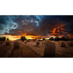 MONITOR PARA SEÑALIZACION DIGITAL 55" VM55B-U, SAMSUNG LH55VMBUBGBXGO, FULL HD, VIDEOWALL, 500 NITS, 3.5MM, 24/7