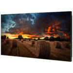 Videowall Monitor Samsung IPS 55 Inc FHD 1920X1080 24/7 500Nits