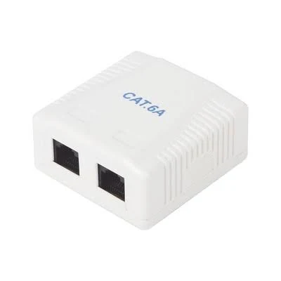 Caja De Pared Linkedpro Lp-Wp-39-C6A Con 2 Puertos, Incluye 2 Jacks Utp Cat6A