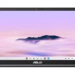 LAPTOP ASUS CX3402CVA-I58G256-C1 14"/CI5-1334U/8GB RAM/256GB SSD/USB 3.2/HDMI/CHROME OS/COLOR GRIS/90NX07P2-M00MP0