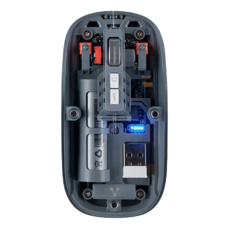 Mouse