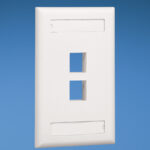 Placa De Pared Vertical P/2 Puertos Mate, Panduit Nk2Fiwy