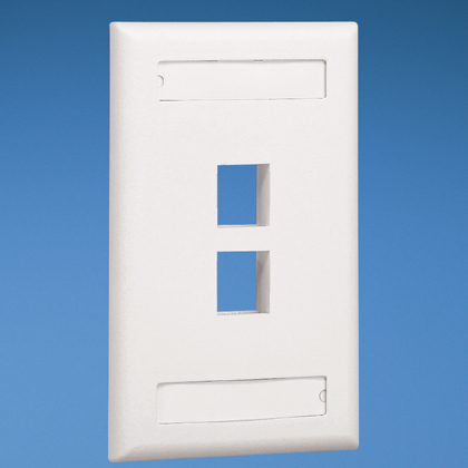 Placa De Pared Vertical P/2 Puertos Mate, Panduit Nk2Fiwy