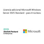 Ms Ws25 4C Std Add Lic Ww Sw .