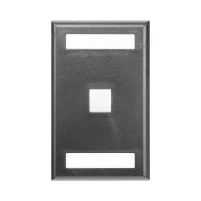 Placa De Pared Vertical Panduit Salida Para 1 Puerto Keystone Con Espacios Para Etiquetas, Color Negro Nk1Fbl