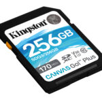 MEMORIA SDXC 256GB KINGSTON SDG3/256GB CANVAS GO! PLUS UHS-I CLASE 10
