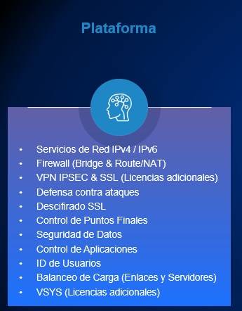 Servicepack Hillstone Adicional Sgsv-A200-In12U (12 Meses) –