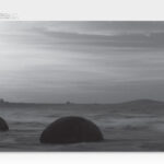 TONER SAMSUNG MAGENTA CLT-M404S/SL-C430W/SL-C480W/1000PAG