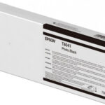 Cartucho Epson T804100 - Foto Negro