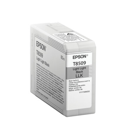 Tinta Epson Ultrachrome HD Negro Light Light T850900