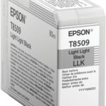 Tinta Epson Ultrachrome HD Negro Light Light T850900