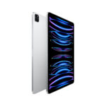 IPAD 10.9" APPLE MQ6T3LZ/A 256GB WI?FI+CELLULAR/5G TD-LTE & FDD-LTE/COLOR PLATA