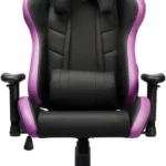 Silla Cooler Master Premium Ergo L Cmi-Gcel-2019