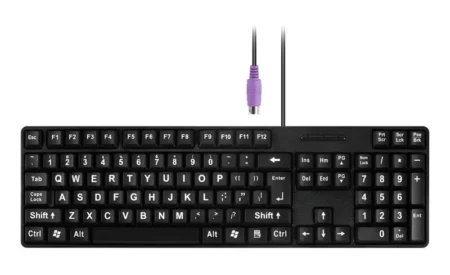 Teclado Alambrico Pos Qian Qpa1702 Interfase Ps2 Color Negro