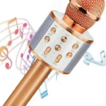 Karaoke Acteck AC-926935 Bluetooth 4.2/20W/3.5/USB/Microusb/2 Microfonos