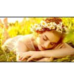Pantalla LG Signage 86Inc 4K 500 Nits 24/7 Hrs