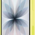 Apple Mgfl4Zm/A Carcasa Para Celulares 17.5 Cm (6.9") Funda Naranja