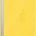 Smart Folio Para Ipad A1 Limonada