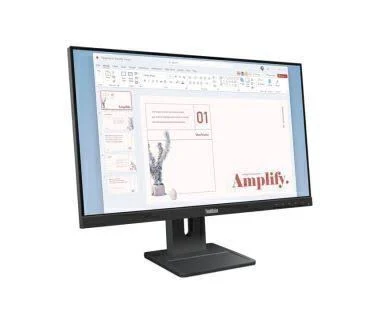 Monitor Lenovo Thinkvision E24 40 23.8 Monitor HDMI 3Yo