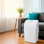 AIRE ACONDICIONADO LG PORTTIL 1 TON FRO Y CALOR (VOLTAJE 115V