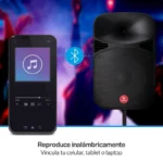 Bocina Bluetooth Pmpo 15" Steren Baf-1545Bt 2800W Color Negro